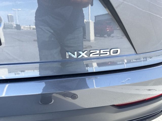 2024 Lexus NX - $40,588