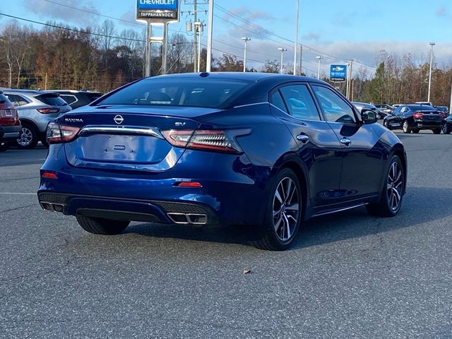 2023 Nissan Maxima SV 6