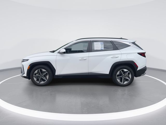 Used 2025 White Hyundai SEL image 5