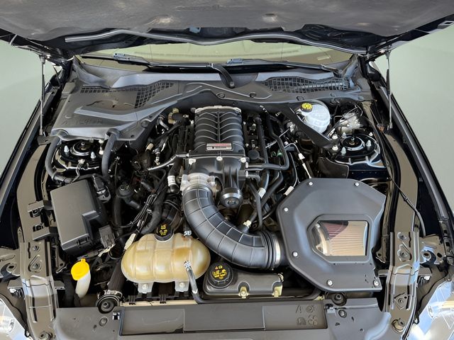 1FA6P8CF2K5178010