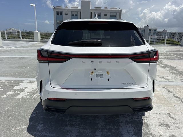 Used 2025 Lexus NX SUV