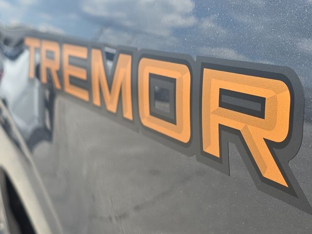 2023 Ford F-150 Tremor:169051A