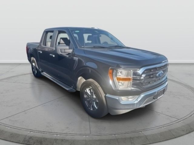 2023 Ford F-150 XLT 4x4 SuperCrew 145 in's photo