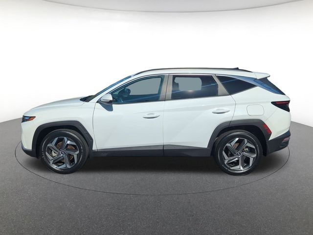 2023 Hyundai Tucson SEL photo