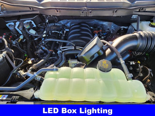 2025 Ford F-150 XLT photo