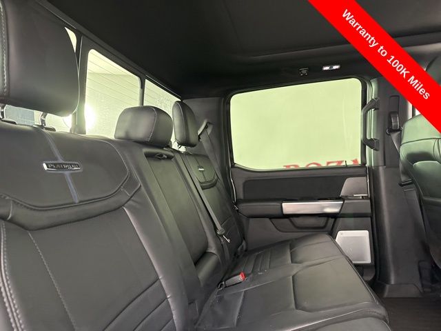 2025 Avalanche Ford Super Duty F-250 SRW Platinum 4X4 Truck