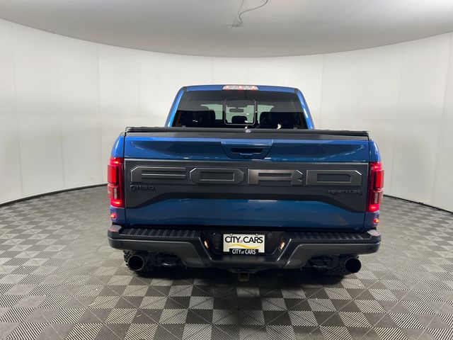 2019 Ford F-150 Raptor 5