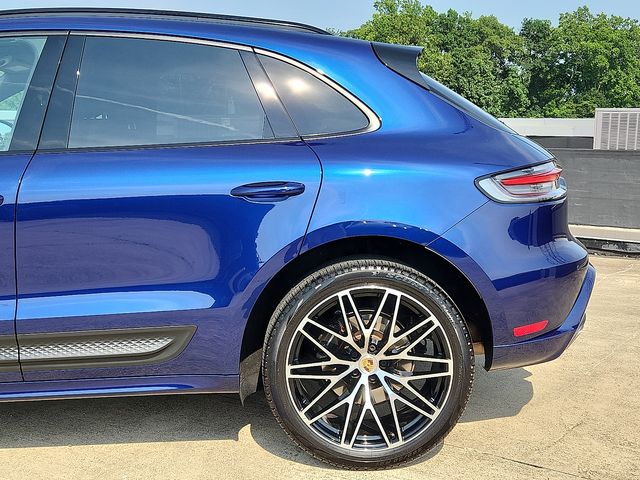 Macan