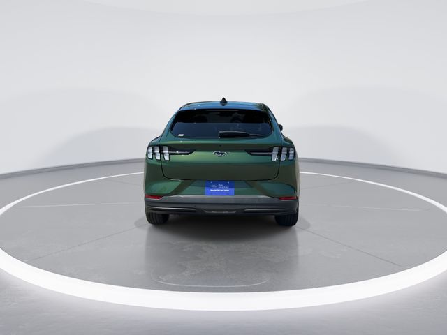 Used 2025 Green Ford Premium image 5