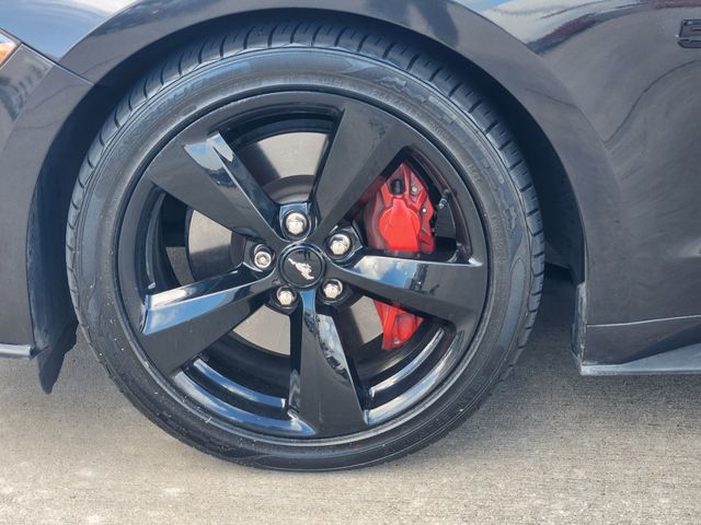 2023 Ford Mustang GT Premium Gray at Emmons Autoplex