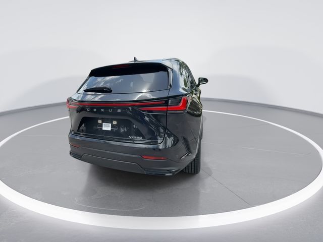 Used 2023 Lexus NX SUV