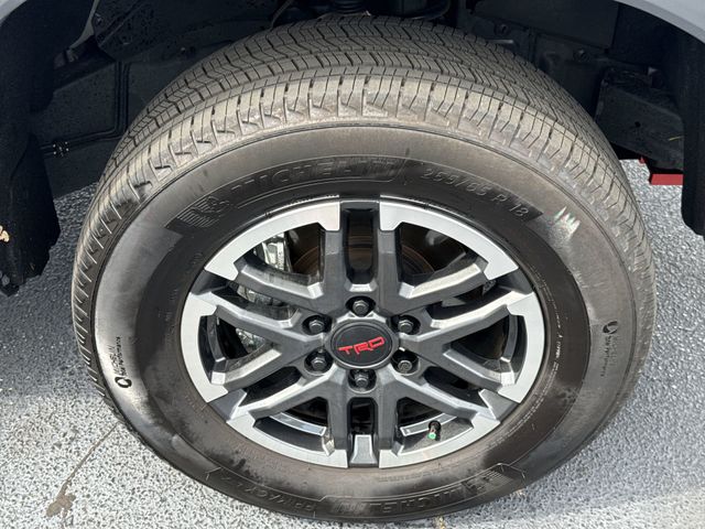Used 2025 Toyota Tacoma Truck