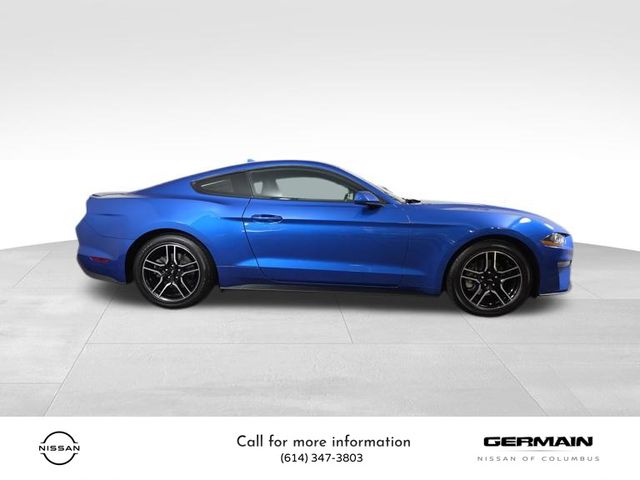 2020 Ford Mustang EcoBoost photo 4