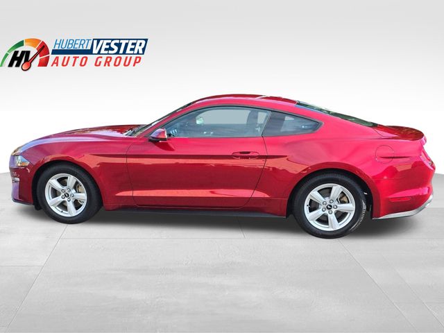 2019 Ford Mustang EcoBoost's photo