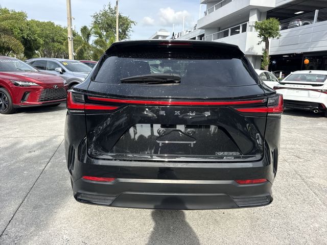 Used 2024 Lexus NX SUV