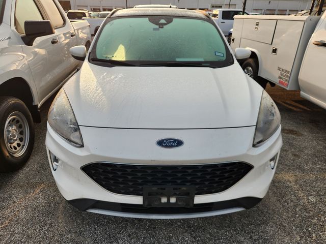 2020 Ford Escape SEL White at DeMontrond Ford
