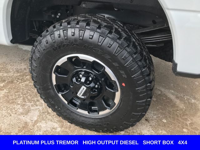 New 2026 Gray Ford Platinum image 36