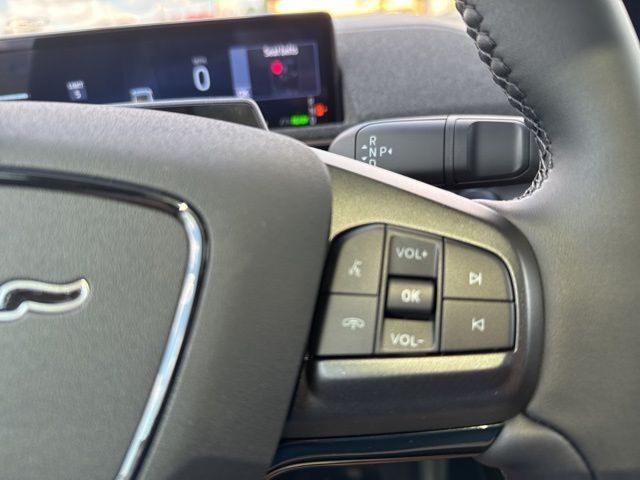 New 2025 White Ford Premium image 34