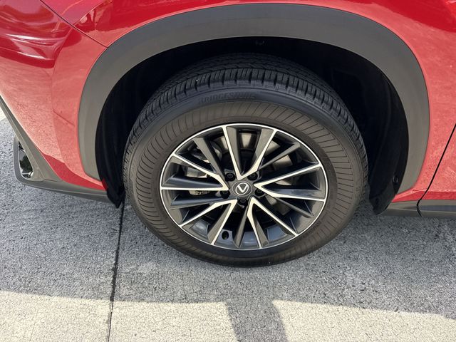 Used 2025 Lexus NX SUV