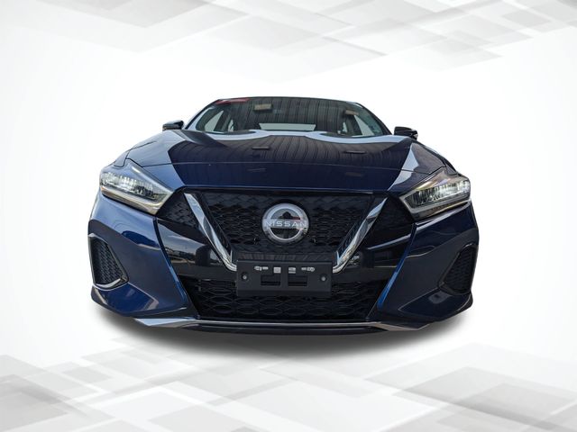 2023 Nissan Maxima SV photo