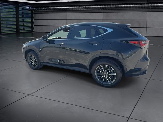2024 Lexus NX - $39,998