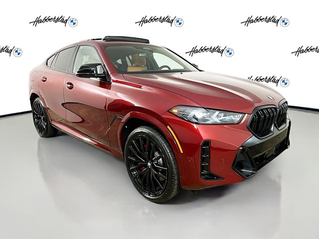 2025 BMW X6  3