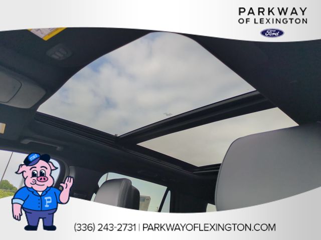 New 2026 White Ford Platinum image 27