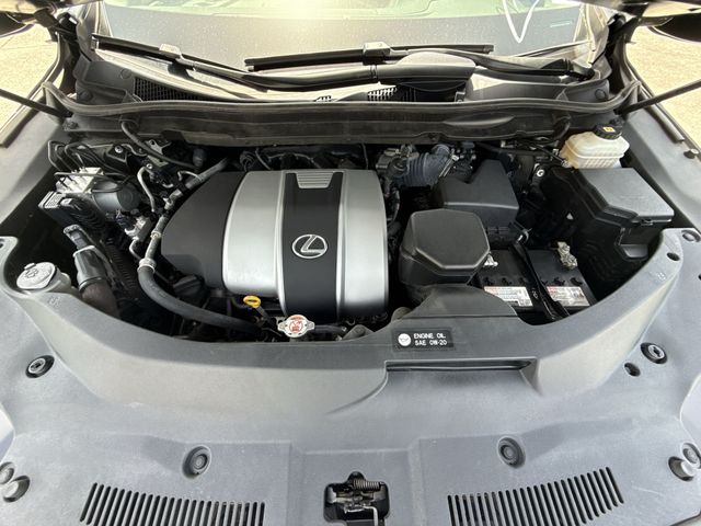 Used 2021 Lexus RX SUV