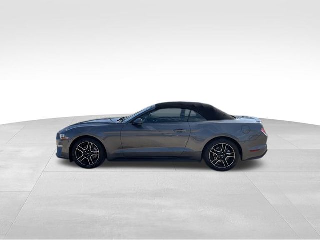 2023 Ford Mustang EcoBoost Premium 8