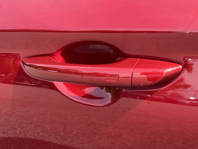 Used 2023 Red Genesis 3.3T image 47