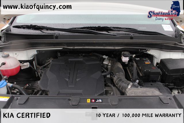 Used 2024 Kia Carnival Van