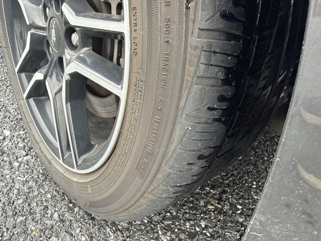 2019 Ford Mustang GT Gray at Grove City Ford