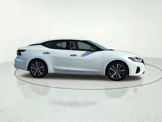 Used 2019 Nissan Maxima Sedan