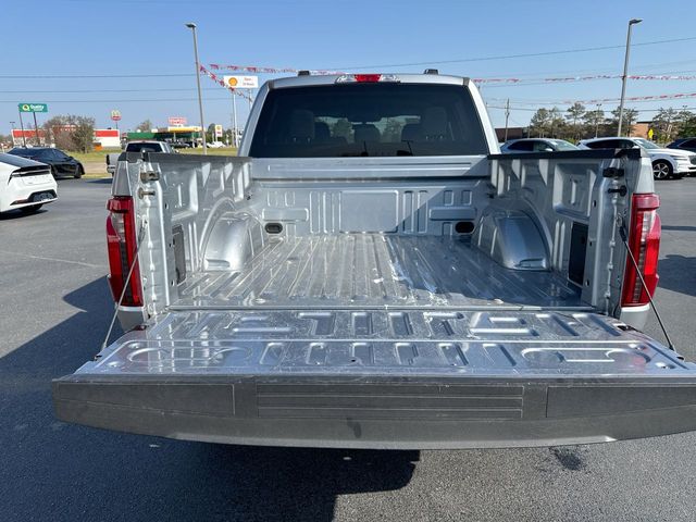 2025 Ford F150 #24