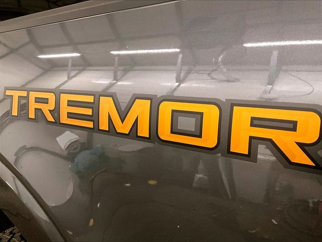 2025 Ford F-150 Tremor Gray at Bob Ruth Ford
