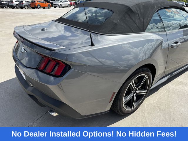 2024 Ford Mustang EcoBoost Premium Gray at DeMontrond Mazda