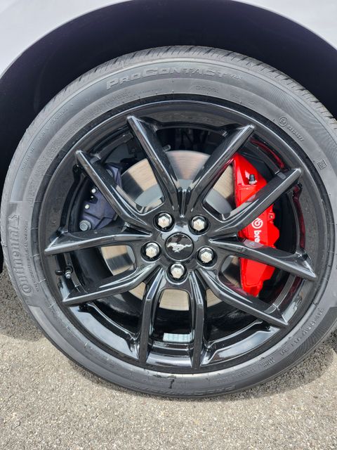 New 2026 White Ford GT image 17