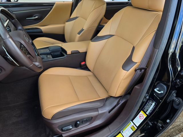 2019 Lexus ES 350 14