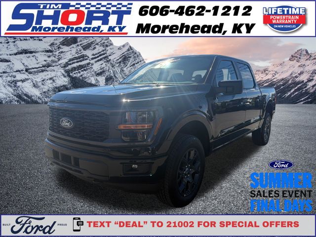 Black Metallic 2026 Ford F-150 Pickup Truck Four-Wheel Drive Automatic