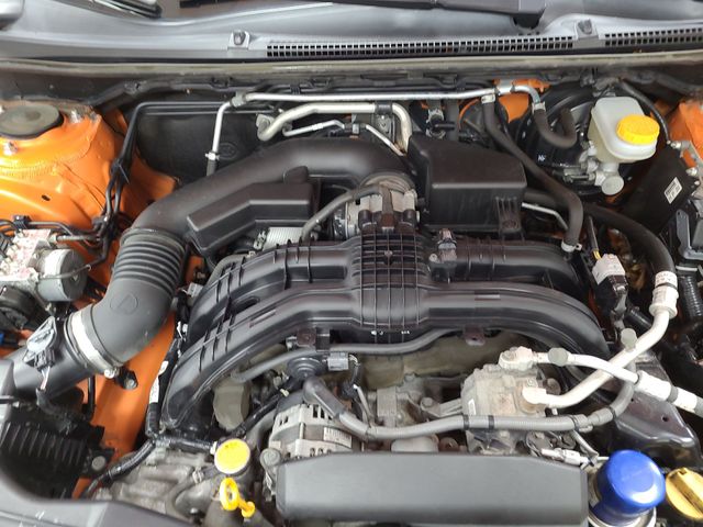 2019 – Subaru – Crosstrek