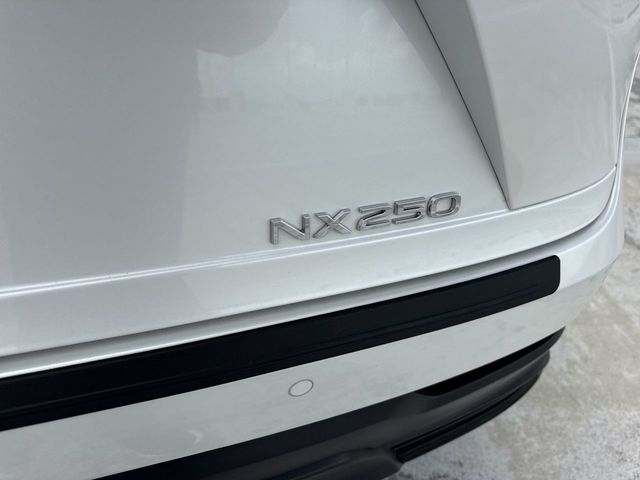 2025 Lexus NX - $39,988