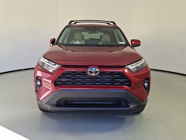 2025 Toyota RAV4 XLE Premium photo 2