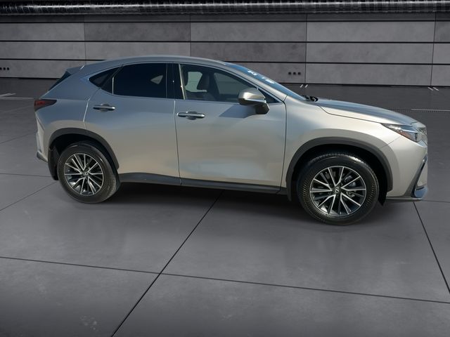 2025 Lexus NX - $47,888
