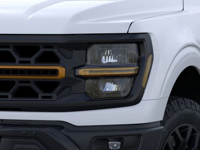 2024 Ford F-150 Tremor 17