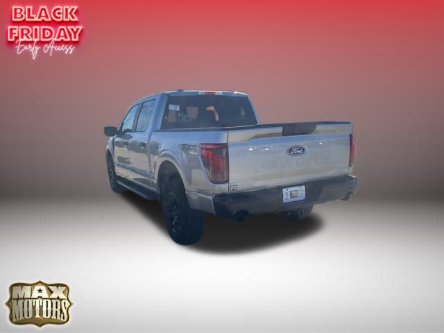 2024 Ford F-150 STX 6