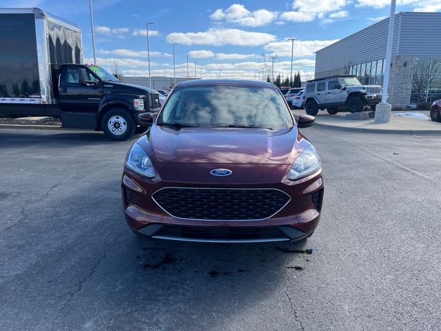 Used 2021 Ford Escape For Sale in Grove City, OH