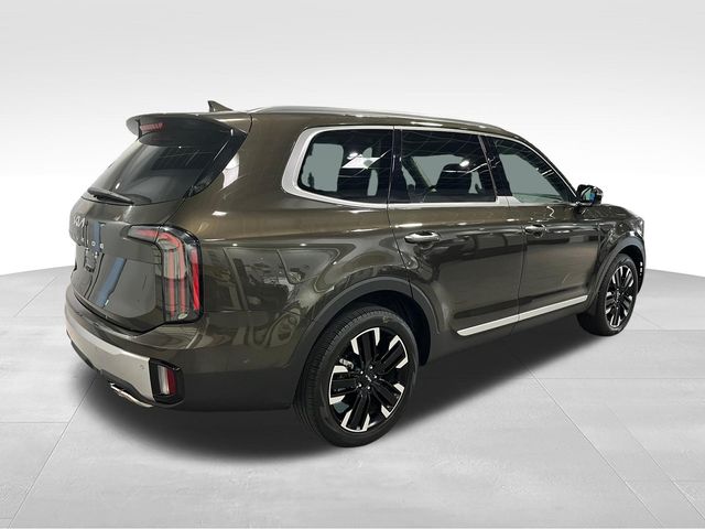 2024 Kia Telluride SX Green at Matthews Motors of Wilmington
