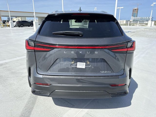 2025 Lexus NX - $39,998