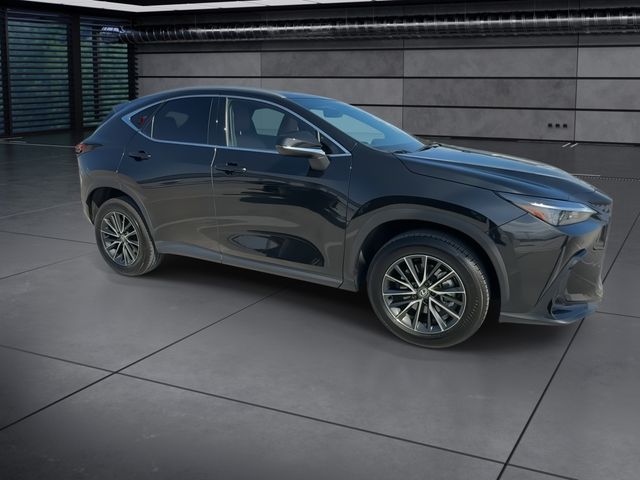 2024 Lexus NX - $39,998
