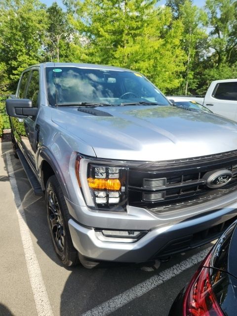 2023 Ford F-150 XLT 4x4 SuperCrew 5-1/2 Box's photo
